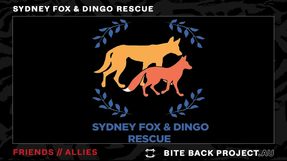 Dark Bite Back-style friend image for Sydney Fox and Dingo Rescue.