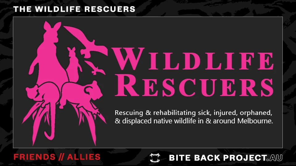 Dark Bite Back-style friend image for The Wildlife Rescuers.
