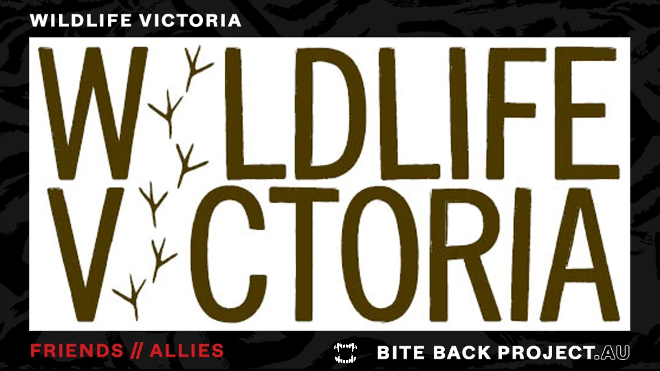 Dark Bite Back-style friend image for Wildlife Victoria.