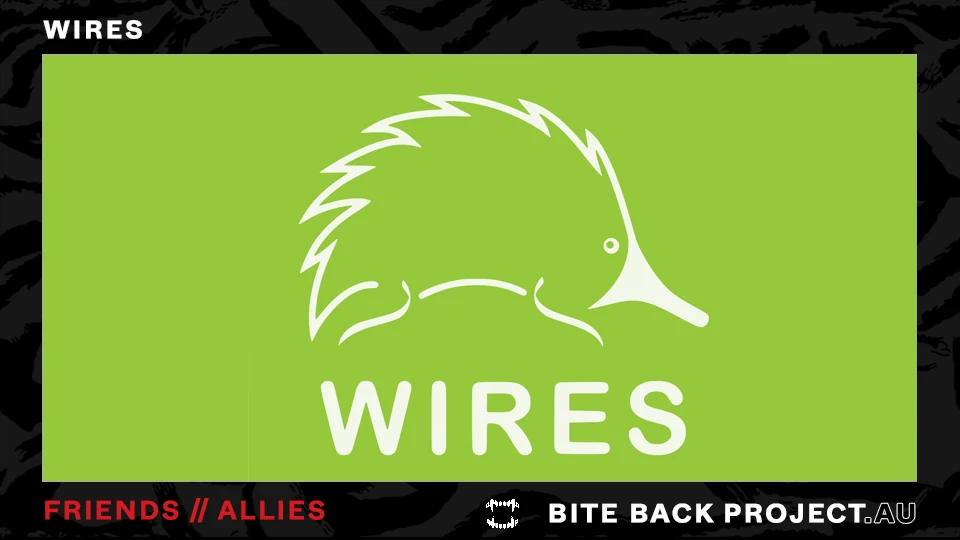 Dark Bite Back-style friend image for WIRES.
